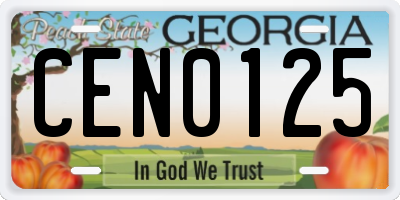 GA license plate CEN0125
