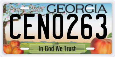 GA license plate CEN0263
