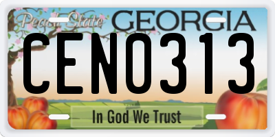 GA license plate CEN0313