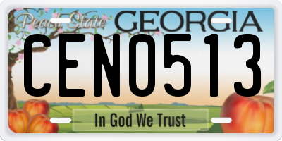 GA license plate CEN0513