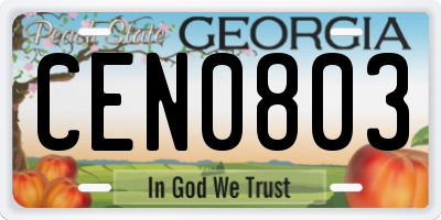 GA license plate CEN0803