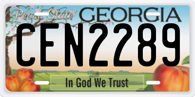 GA license plate CEN2289
