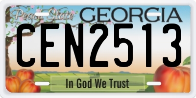 GA license plate CEN2513