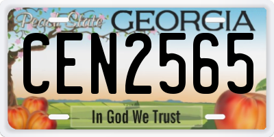 GA license plate CEN2565