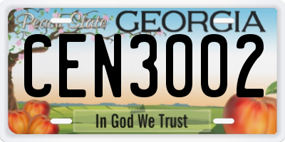 GA license plate CEN3002