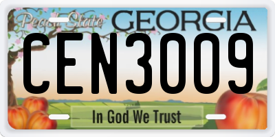 GA license plate CEN3009