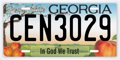 GA license plate CEN3029