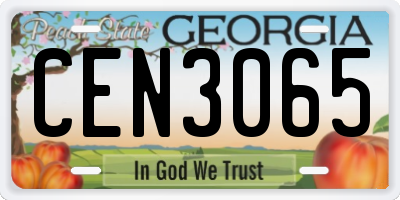 GA license plate CEN3065