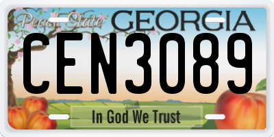 GA license plate CEN3089