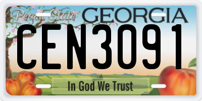 GA license plate CEN3091