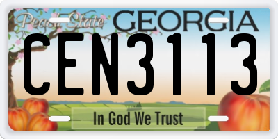 GA license plate CEN3113