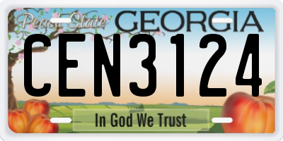 GA license plate CEN3124