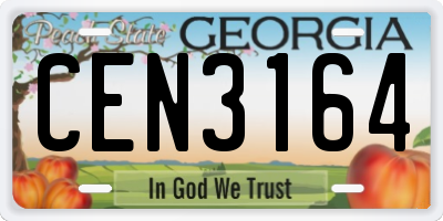 GA license plate CEN3164