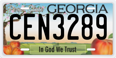 GA license plate CEN3289
