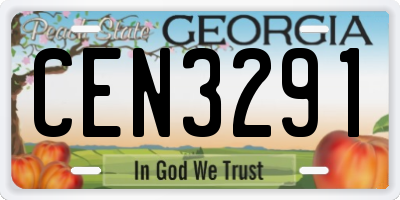 GA license plate CEN3291