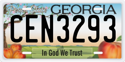 GA license plate CEN3293