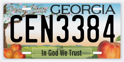 GA license plate CEN3384