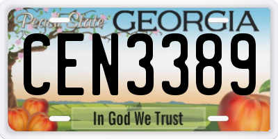 GA license plate CEN3389