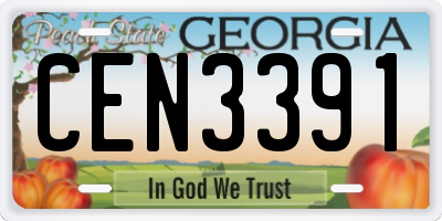 GA license plate CEN3391