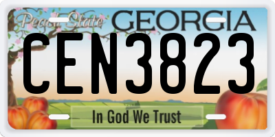 GA license plate CEN3823