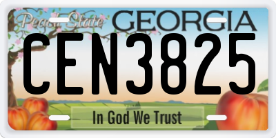 GA license plate CEN3825