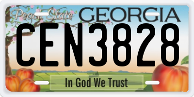 GA license plate CEN3828