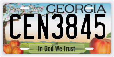 GA license plate CEN3845