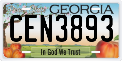 GA license plate CEN3893