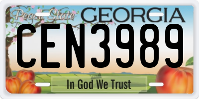 GA license plate CEN3989
