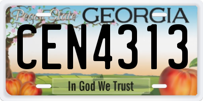 GA license plate CEN4313