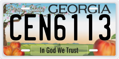 GA license plate CEN6113