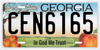 GA license plate CEN6165