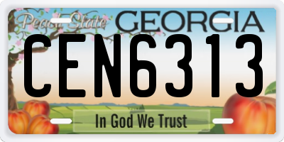 GA license plate CEN6313