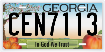 GA license plate CEN7113