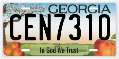 GA license plate CEN7310