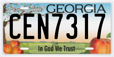 GA license plate CEN7317