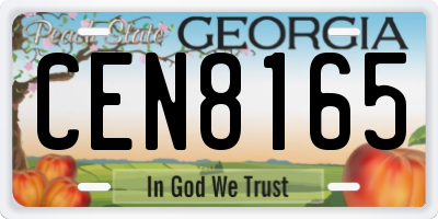GA license plate CEN8165