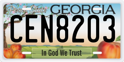 GA license plate CEN8203