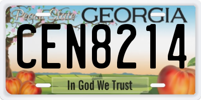 GA license plate CEN8214