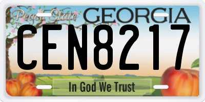 GA license plate CEN8217
