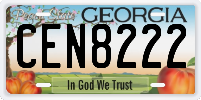 GA license plate CEN8222