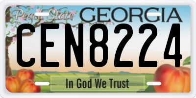 GA license plate CEN8224