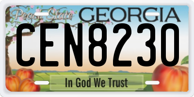 GA license plate CEN8230