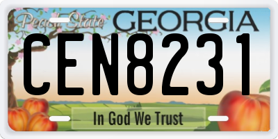 GA license plate CEN8231