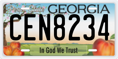 GA license plate CEN8234