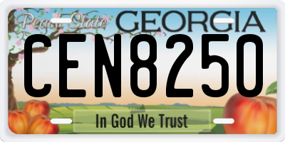 GA license plate CEN8250