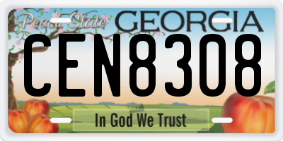 GA license plate CEN8308