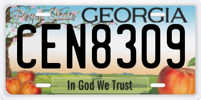 GA license plate CEN8309