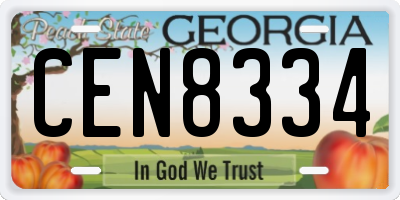GA license plate CEN8334
