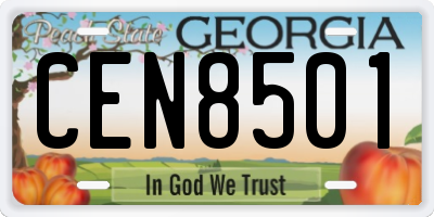 GA license plate CEN8501